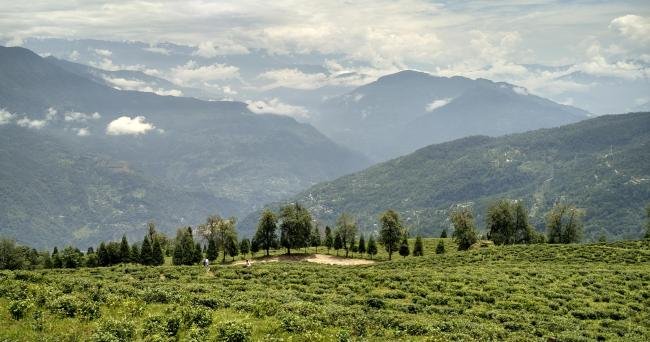 Sikkim & Darjeeling Tour Package - Silk Route Tourism